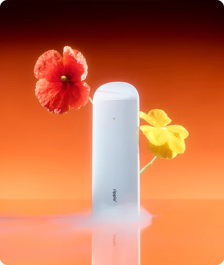 Ripple - FOCUS Disposable Inhaler