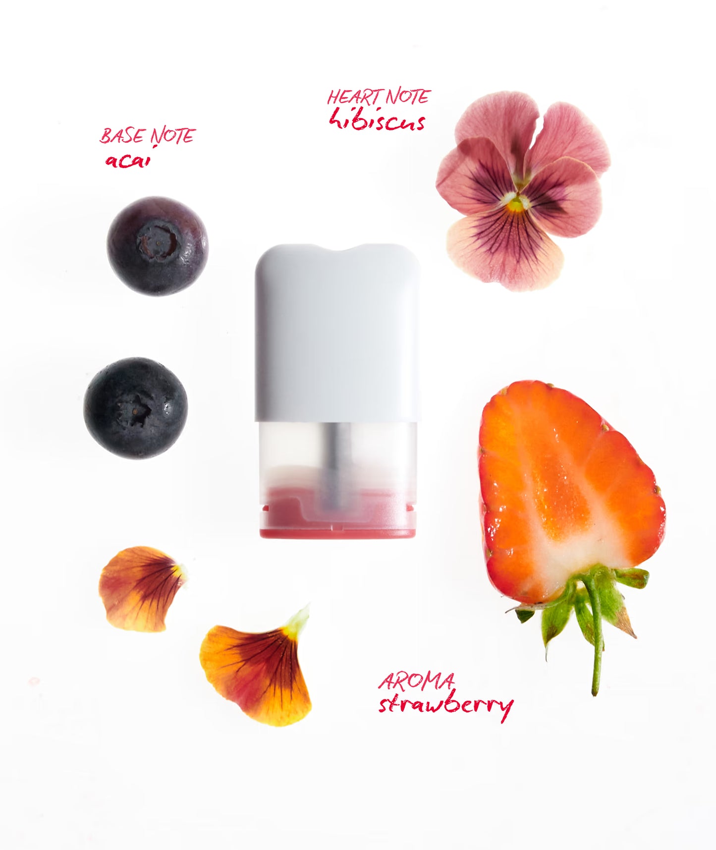 Ripple - гүзээлзгэний под