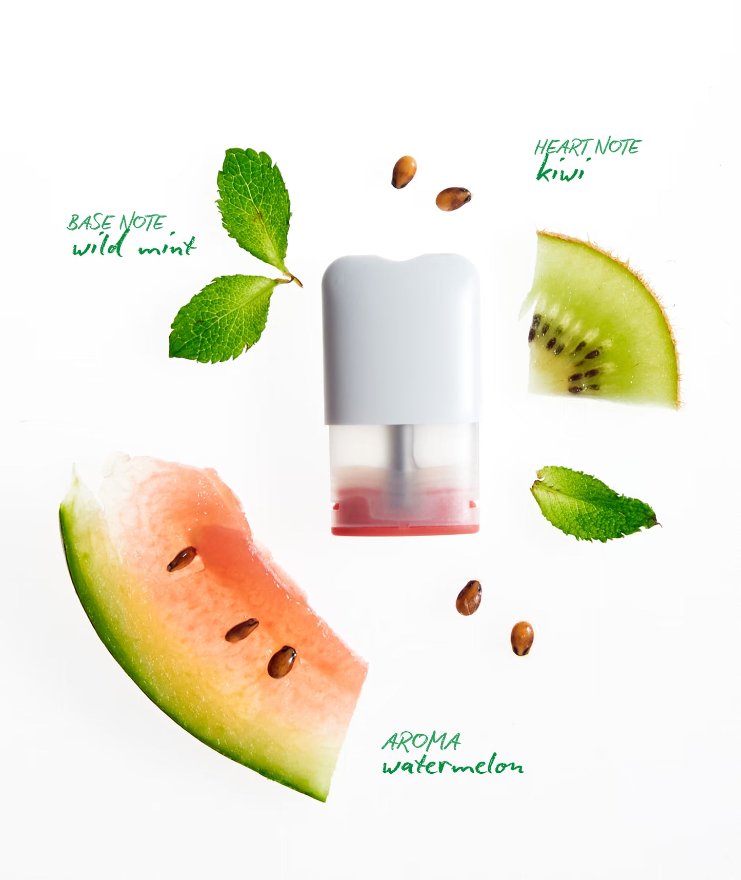 Ripple - цэнэглэдэг төхөөрөмж + Bliss под