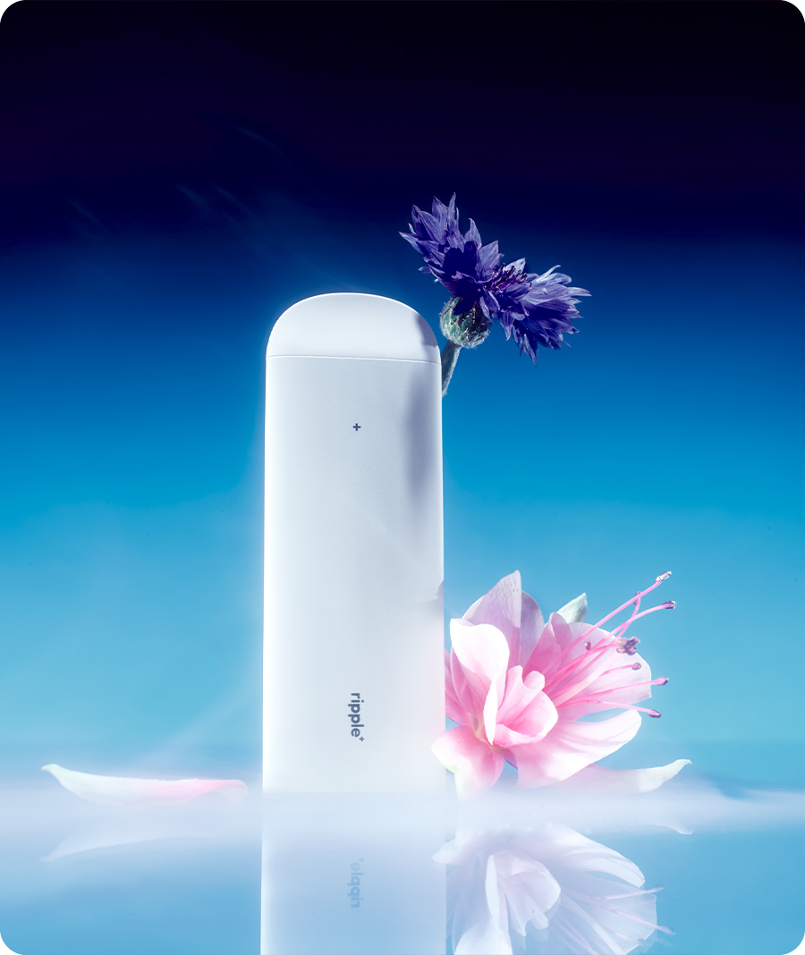 Ripple - ромашканы амт